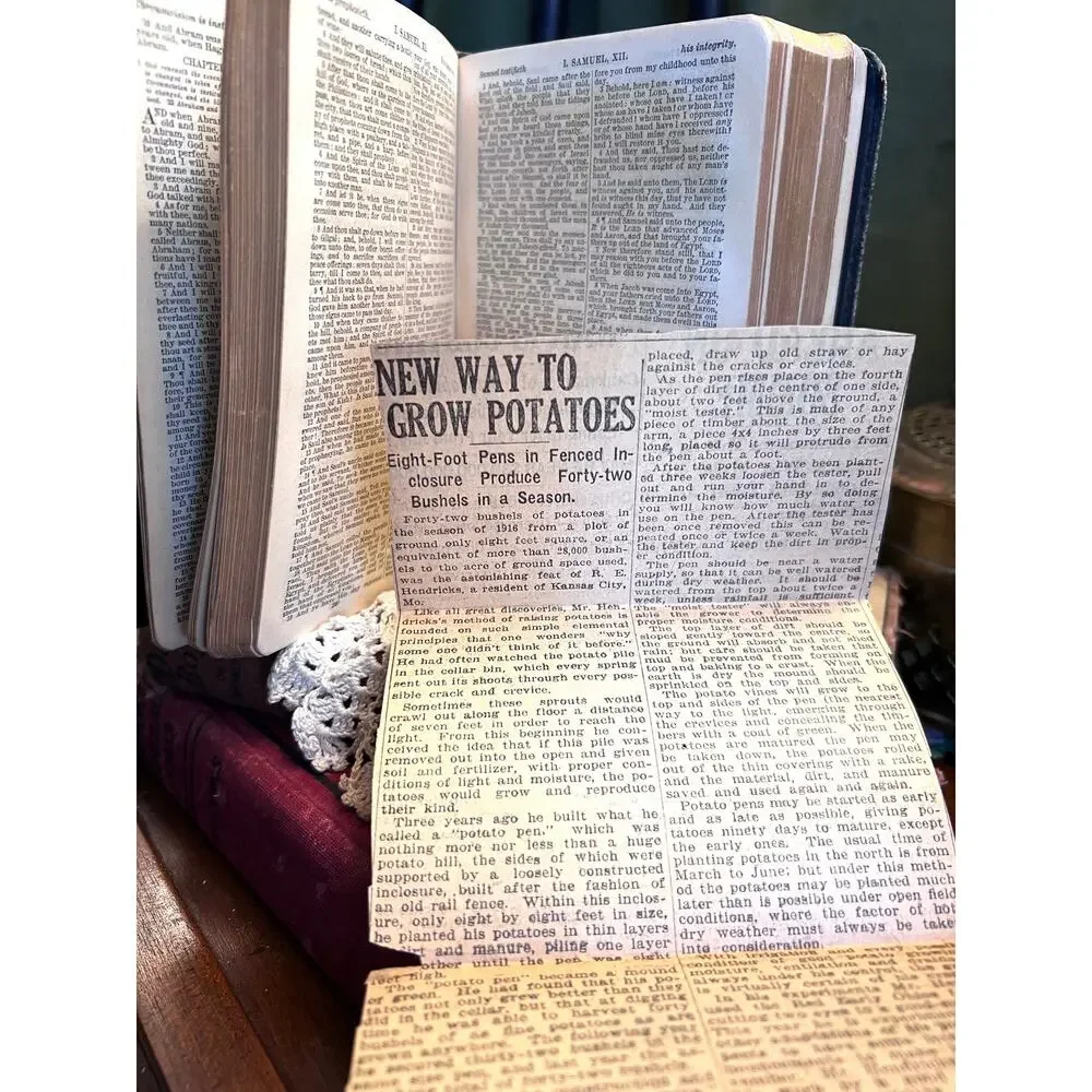 Antique Bible - 1892